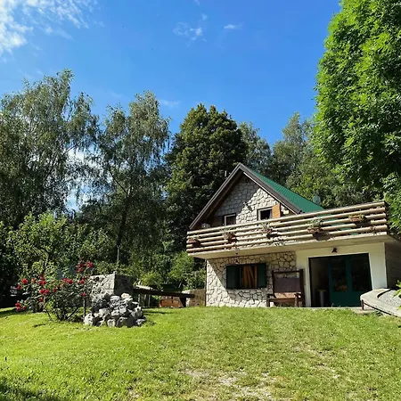 Sanmari_forest Σαλέ